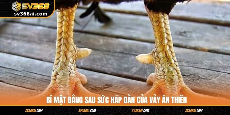 Bí mật đằng sau sức hấp dẫn của vảy Án Thiên