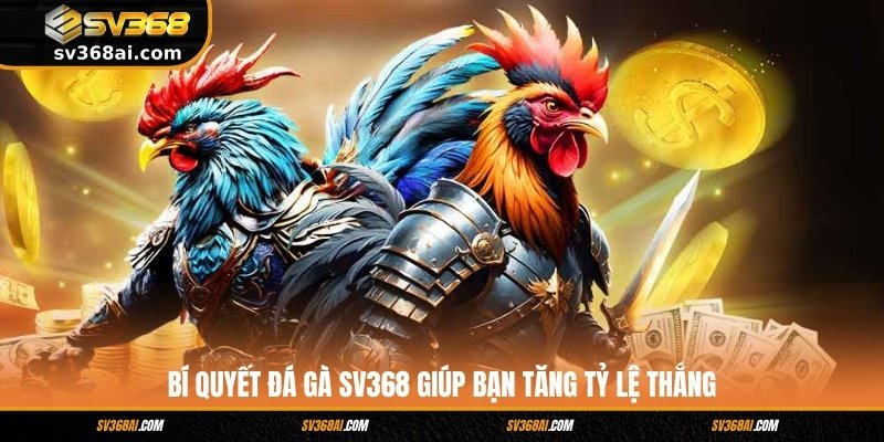 Bí quyết đá gà SV368 giúp bạn tăng tỷ lệ thắng