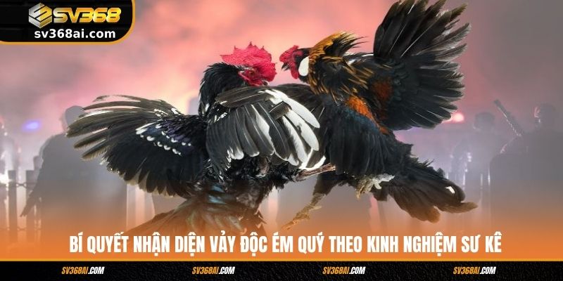 Bí quyết nhận diện vảy độc ém quý theo kinh nghiệm sư kê