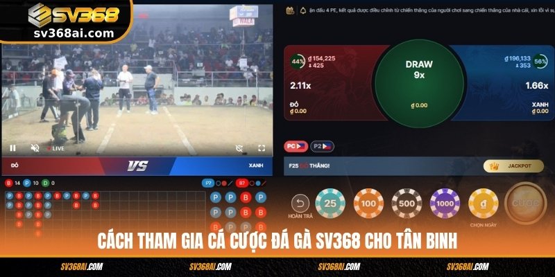 Cách tham gia cá cược đá gà SV368 cho tân binh