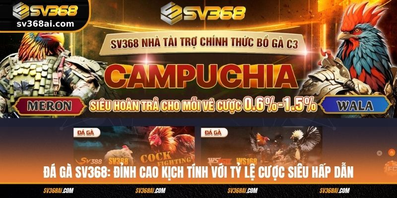 Đá gà SV368: Đỉnh cao kịch tính với tỷ lệ cược siêu hấp dẫn