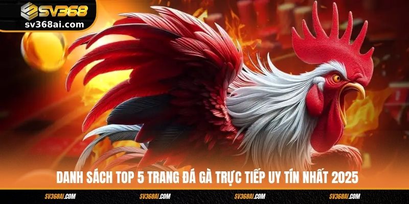 Danh sách top 5 trang đá gà trực tiếp uy tín nhất 2025