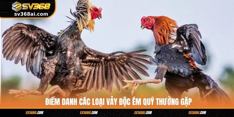 Điểm danh các loại vảy độc ém quý thường gặp