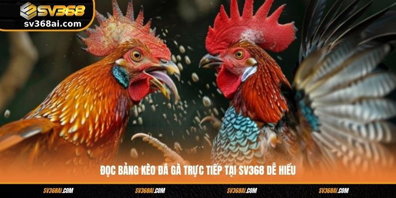Đọc bảng kèo đá gà trực tiếp tại SV368 dễ hiểu