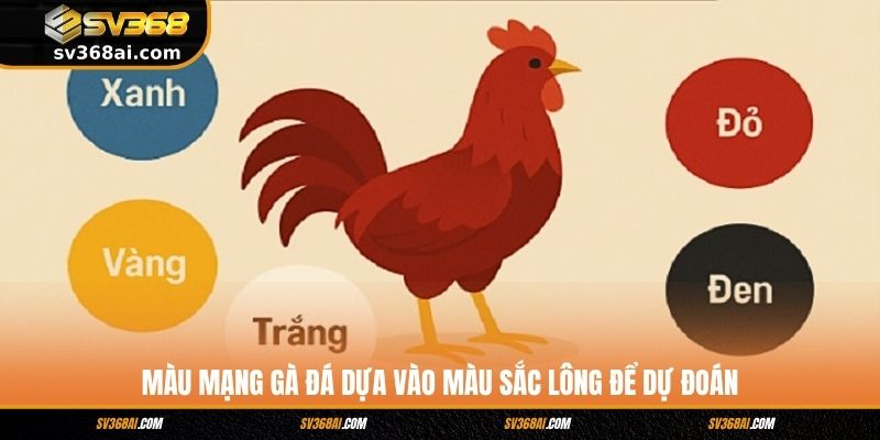 Màu mạng gà đá dựa vào màu sắc lông để dự đoán
