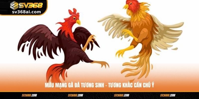 Màu mạng gà đá tương sinh - tương khắc cần chú ý