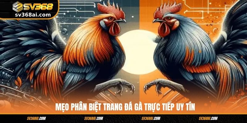 Mẹo phân biệt trang đá gà trực tiếp uy tín