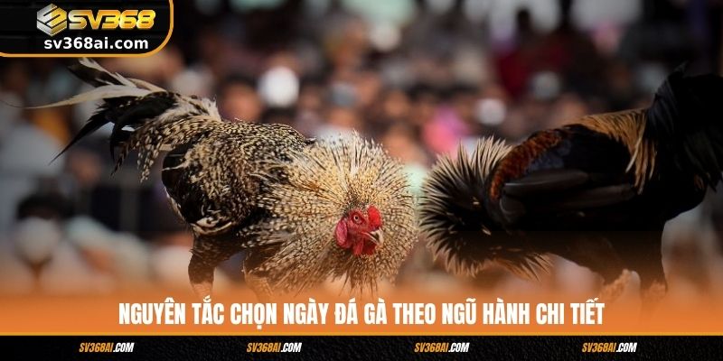 Nguyên tắc chọn ngày đá gà theo ngũ hành chi tiết