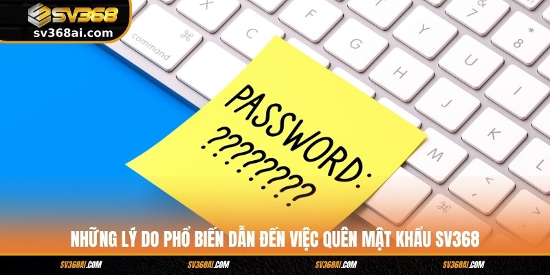 Những lý do phổ biến dẫn đến việc quên mật khẩu SV368