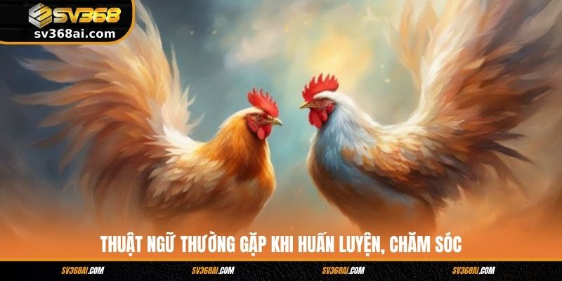 Thuật ngữ thường gặp khi huấn luyện, chăm sóc