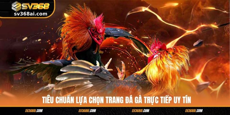 Tiêu chuẩn lựa chọn trang đá gà trực tiếp uy tín