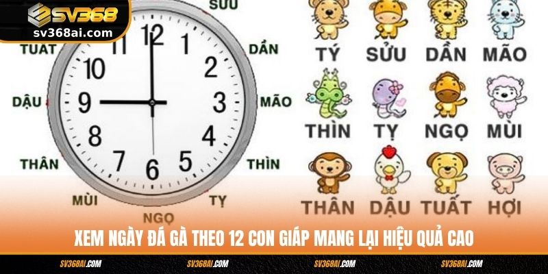 Xem ngày đá gà theo 12 con giáp mang lại hiệu quả cao